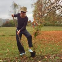 Das Baumfällen geht weiter - und eine Pflanzaktion dagegen