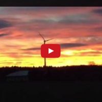 Erst eins, dann zwei … dann drei, dann vier