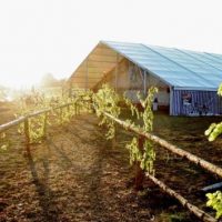 Das Brauchtum und die Pflege