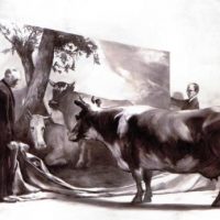 Wir machen ein Fass auf: Donnerstag QUH-Mitgliederversammlung Wir machen ein Fass auf: Donnerstag QUH-Mitgliederversammlung