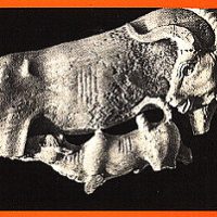 Die QUH in der Kunst Die QUH in der Kunst