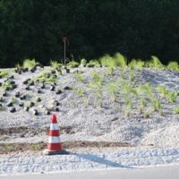 Der Kreisel diese Woche