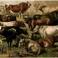 Heute QUH-Versammlung!