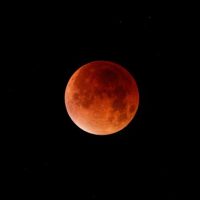 Ein frohes Fest unter vollem Mond