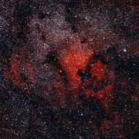 Der QUH-Adventskalender: das 9. Sternchen