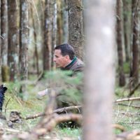 Der Forstbetriebsleiter