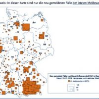 Schweinegrippe im Selbstversuch - 1. Tag