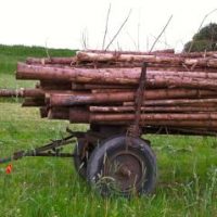 Zutaten für das schönste Fest der Gemeinde