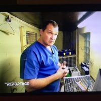 Dem Tiger auf den Zahn fühlen Dem Tiger auf den Zahn fühlen