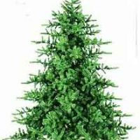 Der schöne Laich Der schöne Laich