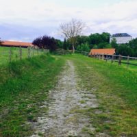 Am Vatertag auf die Berger Trabrennbahn?