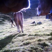 Frohe Ostern mit den QUH-Reportern