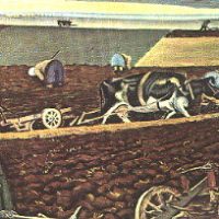 Die Kuh, die in den Teich fiel - die QUH präsentiert 24 Berger Dorfgeschichten